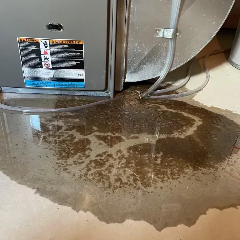 Appliance Leak Cleanup in Hayden, ID